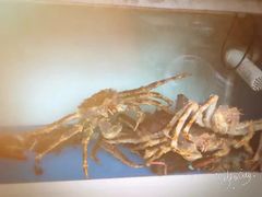 -龙头岩(Dragon Head Rock)