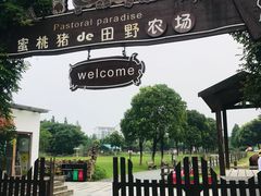 -田园东方蜜桃村的田野营地
