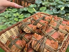 -七的湖·晚芳亭·阳澄湖农家菜·大闸蟹(莲花岛店)