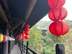 -大唐贡茶院