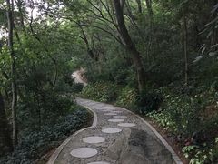 -仙岳公园
