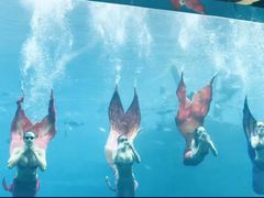 -瑞德姆美人鱼海底演艺主题餐厅(亚龙湾店)