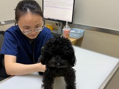 -爱妮康宠物医院·干细胞免疫细胞·肿瘤·心脏(张江店)