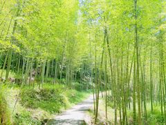 -千泷沟大瀑布旅游区