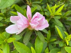 -龙环葡韵住宅式博物馆