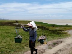 -北海金海湾红树林生态旅游区