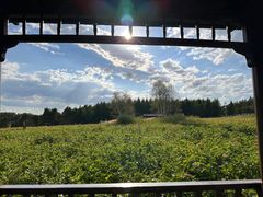 -塞罕坝国家级自然保护区