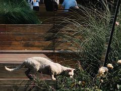 -昆嵛山石门里景区