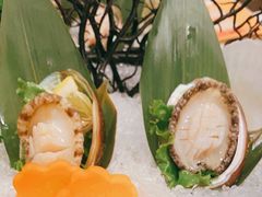 鲍鱼-湊湊火锅·茶憩(打浦桥日月光店)