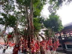 -白帝城·瞿塘峡景区