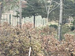 -太原动物园