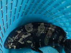 -八方海味餐厅