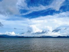 -深圳湾公园(南山区)