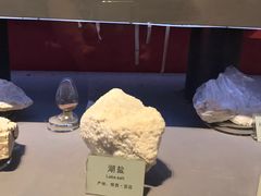 -陕西自然博物馆