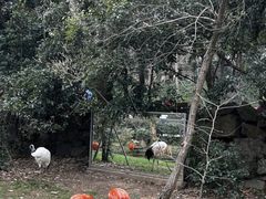 -杭州动物园