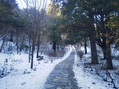 -香山公园