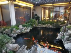 -鲤院·新中式美学·庭院餐厅(夫子庙店)