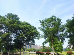 -合肥先民游泳俱乐部