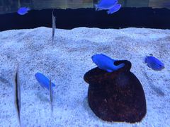 -正佳极地海洋世界