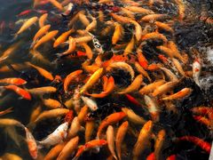 -长春市南湖公园