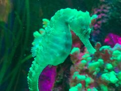 -沈阳海洋探索中心