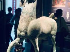 -广西壮族自治区博物馆