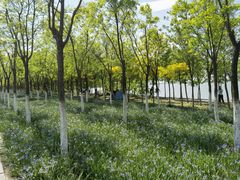 -天津东丽湖风景区