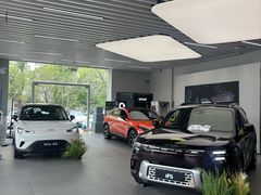-上海浦东smart汽车全功能店(金桥店)