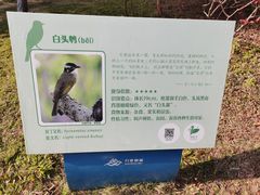 -福田红树林生态公园