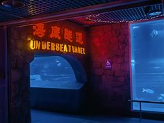 -太平洋海底世界