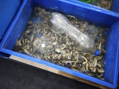 -象山小白象海鲜面
