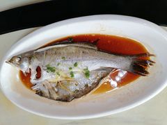 -得心斋(国瑞升平里店)