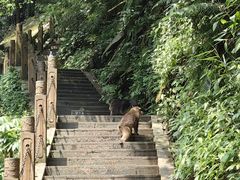 -瓦屋山景区