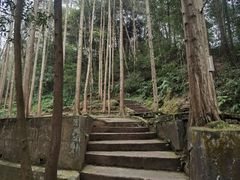 -都江堰普照寺