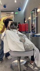 -IN STYLE·全国形象店