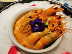 -桂满陇天书(南京德基旗舰店)