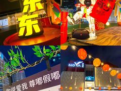 -岭南站NOVA