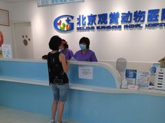 -北京观赏动物医院·24小时大型综合·猫专科·异宠专科