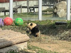 -西安秦岭野生动物园