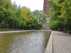 -玲珑塔公园