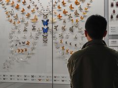 -四川大学博物馆