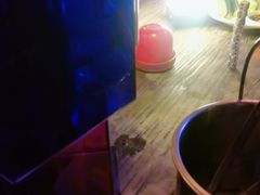 -海雾里小酒馆(观音桥店)
