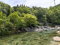 -石台牯牛降景区