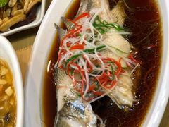 清蒸鲈鱼-台北楚楚园馅饼粥(虹桥南丰城店)