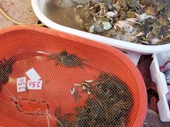 -芦潮港集贸市场