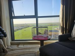 -兴芮温泉度假区