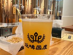 -玩啤国度精酿啤酒(宝山店)