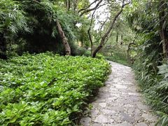 -和平公园