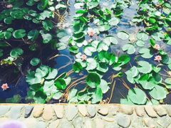 -永泉忆江南12景区