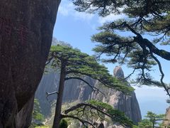-黄山风景区